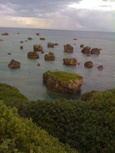 e0162304_2121456.jpg