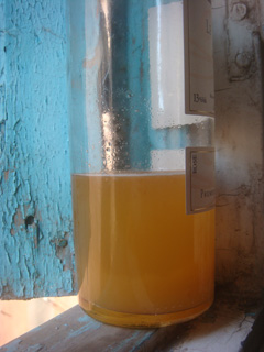 d0126508_0103620.jpg