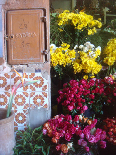d0126508_012975.jpg