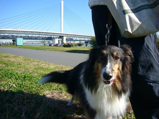 e0130008_18301963.jpg