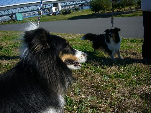 e0130008_18324637.jpg
