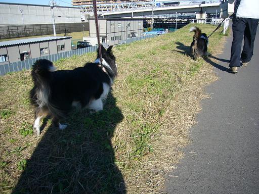 e0130008_18355243.jpg