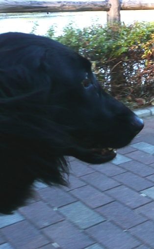 c0097309_1765642.jpg