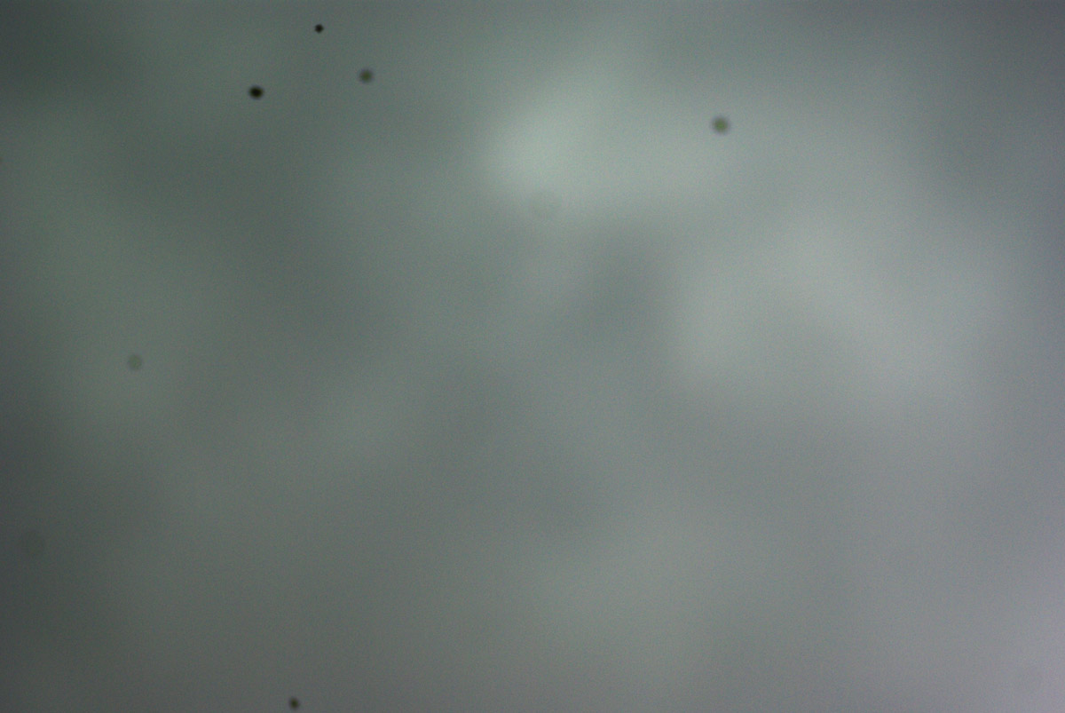 e0142611_914772.jpg