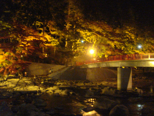 f0197613_2330145.jpg