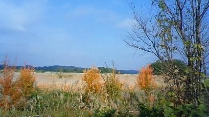 f0167314_22535527.jpg