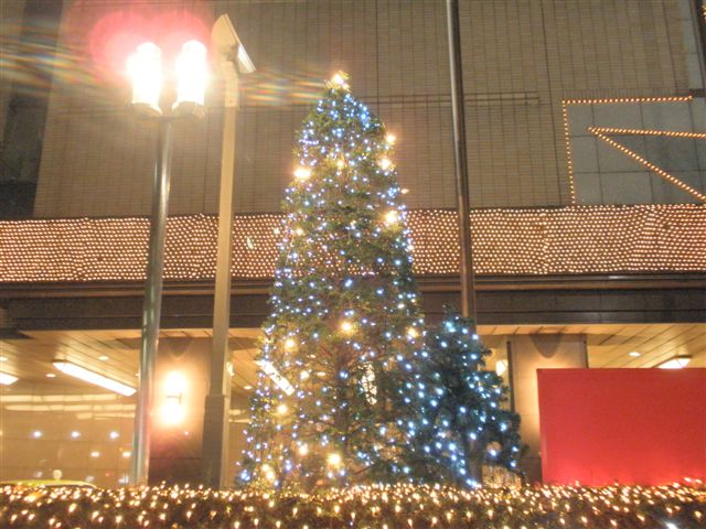 c0056315_215765.jpg