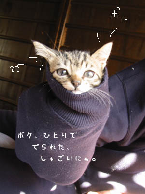 e0156015_123101.jpg