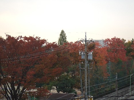 d0111217_753686.jpg
