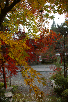 b0075318_15141159.gif