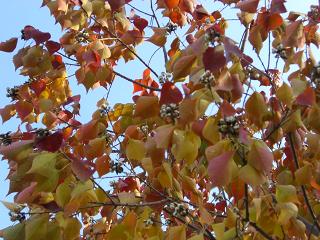 a0089120_2257235.jpg