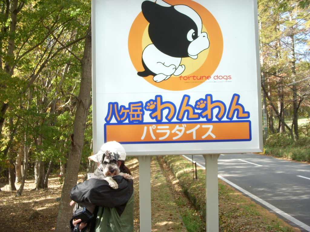 e0109622_20312481.jpg