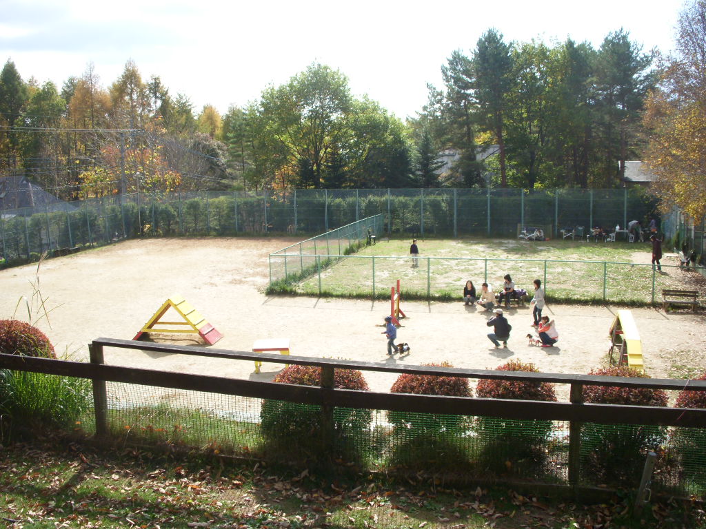 e0109622_20322924.jpg