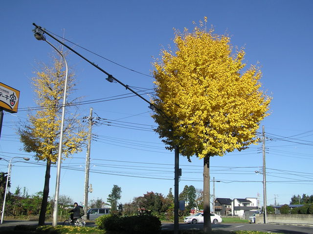 f0128723_23293119.jpg