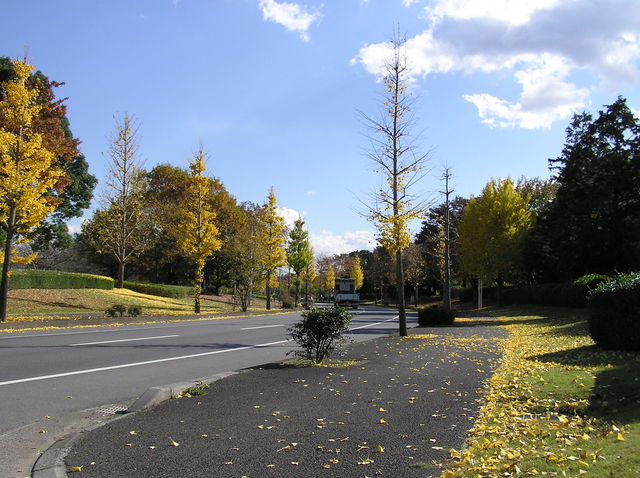 f0128723_23294652.jpg