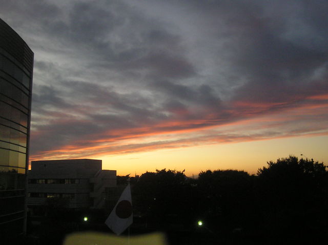 f0128723_2330964.jpg