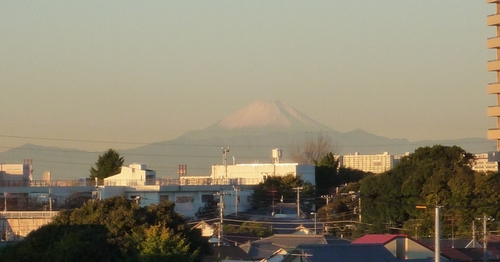 b0028524_7393194.jpg