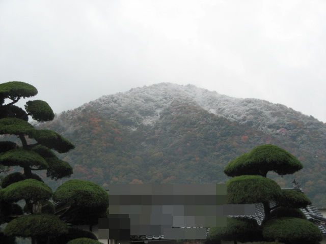 c0168626_2045544.jpg