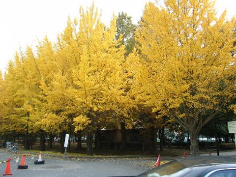 a0105730_99502.jpg
