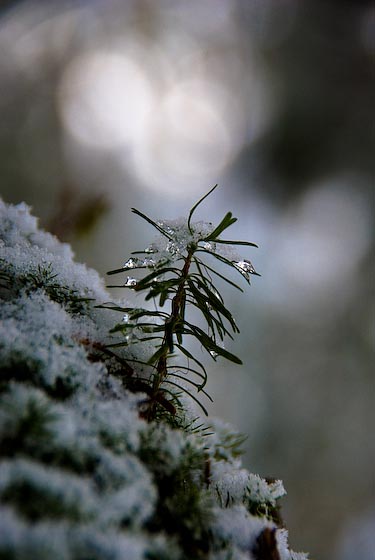 e0025030_1705152.jpg