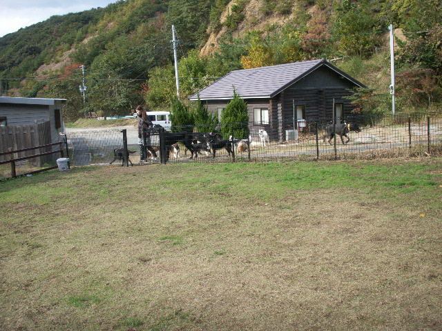 b0127531_19111340.jpg