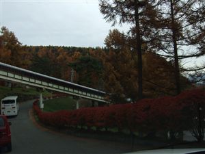 f0028132_13124817.jpg