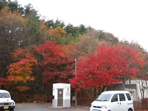 f0028132_13141785.jpg