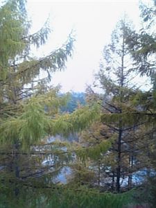 f0028132_13343420.jpg