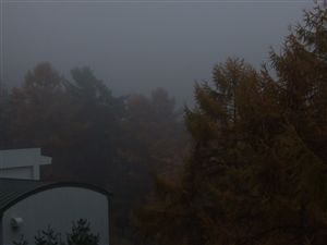 f0028132_1364116.jpg