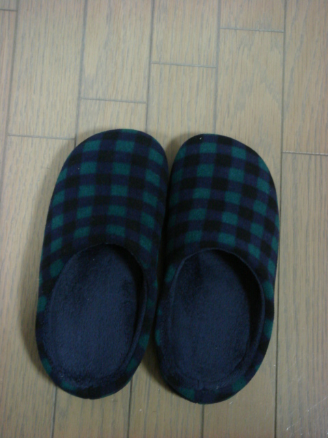 c0100534_17164330.jpg