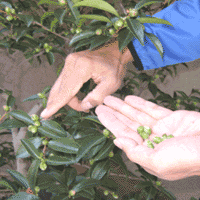 d0033734_14441335.gif