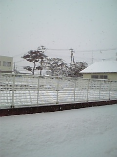 f0019234_1717341.jpg