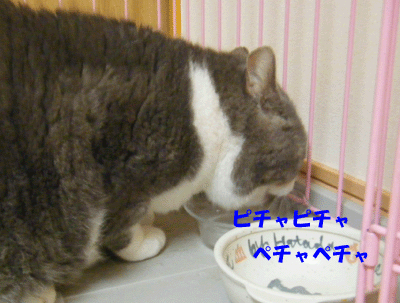f0008935_13532490.gif