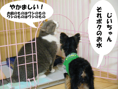 f0008935_13533339.gif