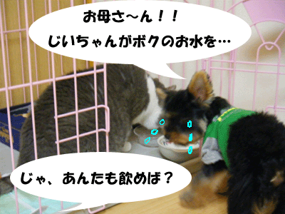 f0008935_13534230.gif