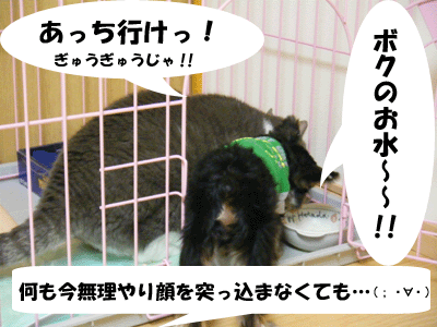 f0008935_13535083.gif