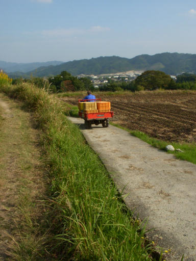 c0032138_2230557.jpg