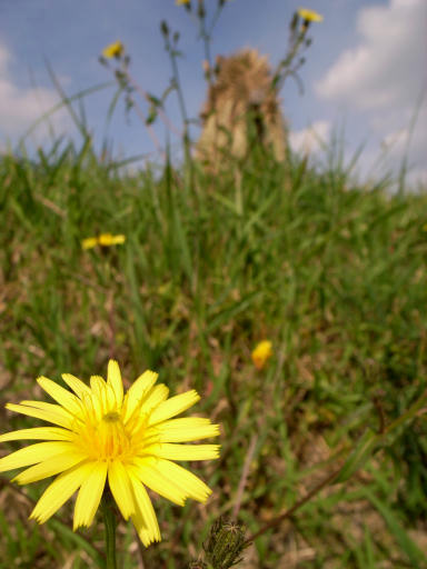 c0032138_22414529.jpg