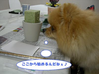 f0186040_23503911.jpg
