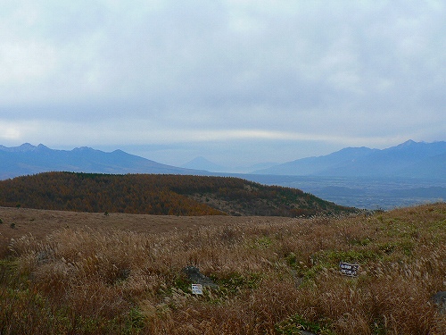 a0106043_22195120.jpg