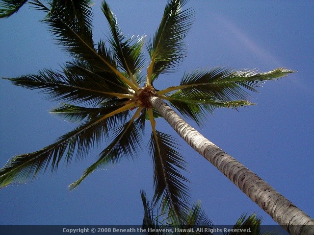 e0129046_4151022.jpg