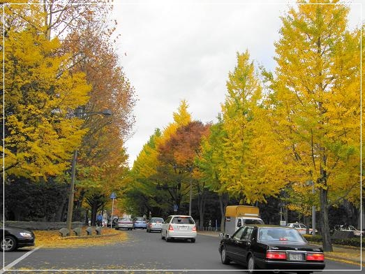 c0145250_12535187.jpg