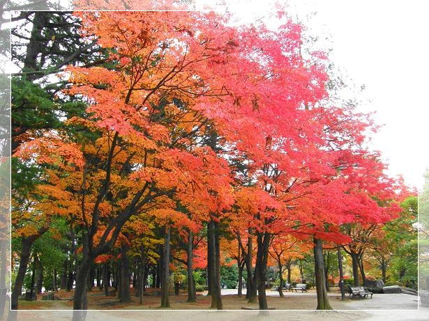 c0145250_12575586.jpg