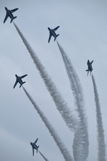 e0131355_164672.jpg