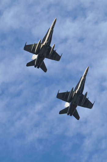 e0131355_2054386.jpg