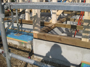 f0147756_8387.jpg