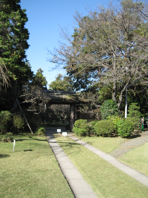 e0158363_19484564.jpg