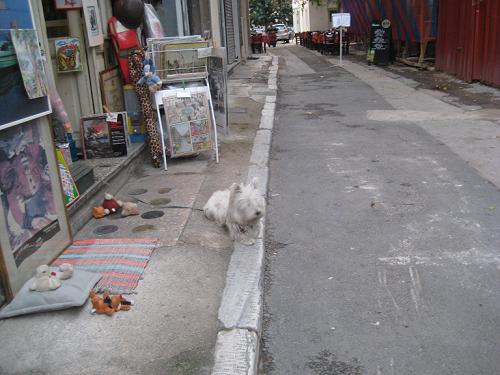 f0037264_20383681.jpg