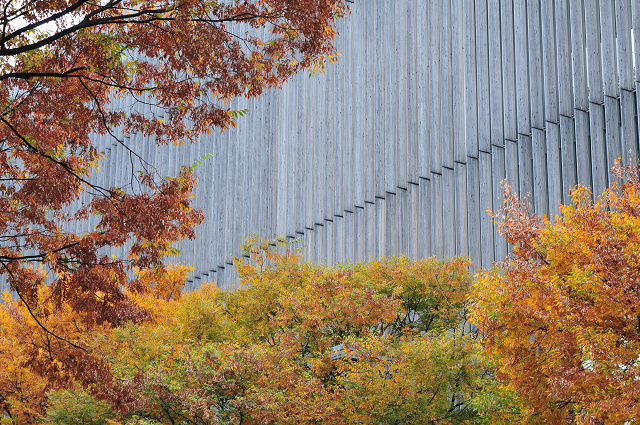 b0149365_23294316.jpg