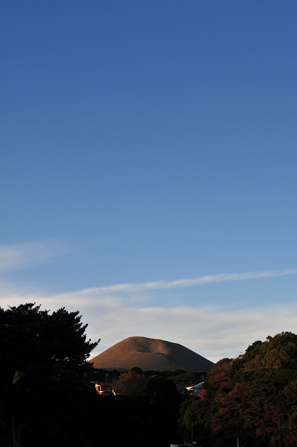 b0149365_2359395.jpg